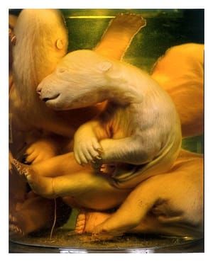 Artwork Title: Polar Bear