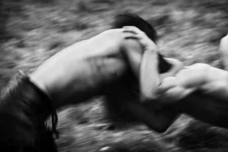 Artwork Title: Untitled