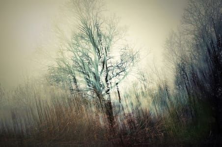 Artwork Title: Oderbruch