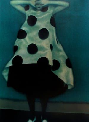 Artwork Title: La Robe a Pois