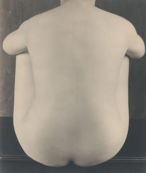 Artwork Title: Untitled