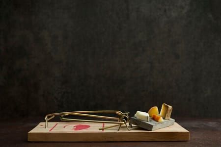 Artwork Title: Gourmet Mouse Traps: Cheese Board