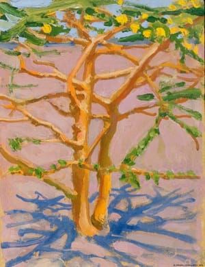 Artwork Title: Acacia on the Savannah