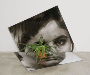Artwork Title: Untitled