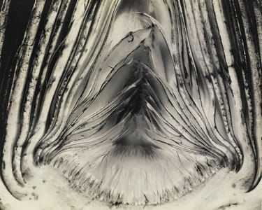 Artwork Title: Artichoke - Halved