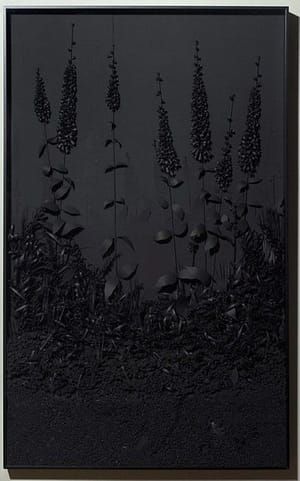 Artwork Title: A Collection of Various Botanical Forms