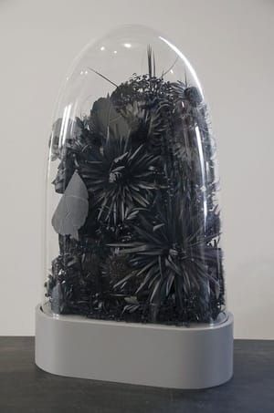 Artwork Title: Black Parlor Shade