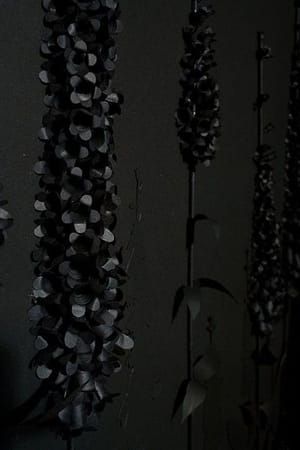 Artwork Title: A Collection of Various Botanical Forms