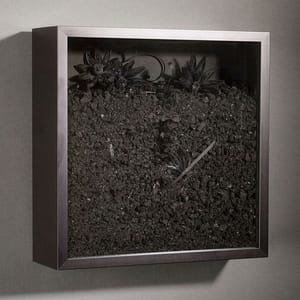 Artwork Title: Third Nature no 6