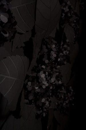 Artwork Title: An Arrangement of Hydrangeas