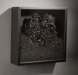 Artwork Title: A Third Nature no 1