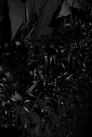 Artwork Title: A Collection of Various Botanical Forms