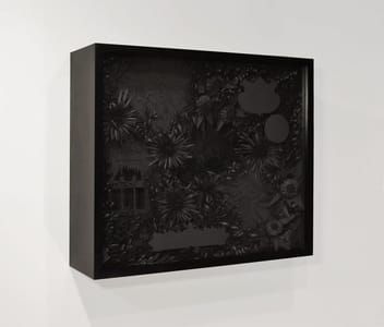 Artwork Title: Map (Hidden Spaces)