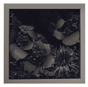 Artwork Title: Gray no. 1