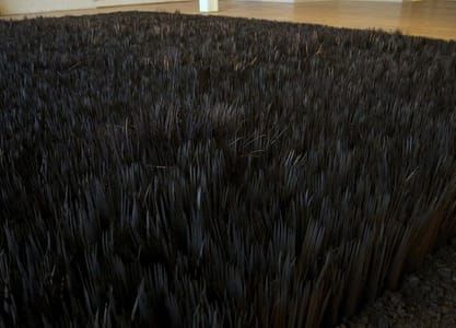 Artwork Title: Colorless Field