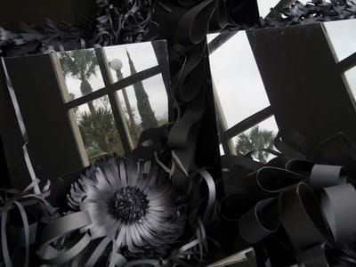 Artwork Title: Mirror Displacement #2