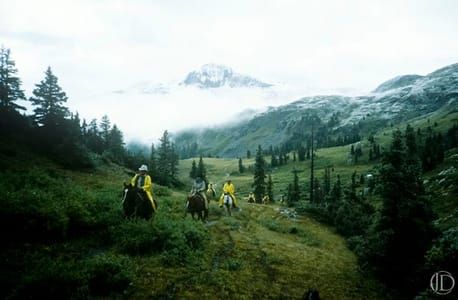 Artwork Title: Colorado Horseback