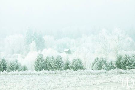Artwork Title: Snowy House