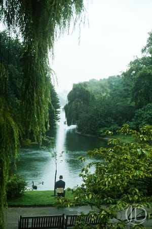 Artwork Title: Man, Pond, Duck