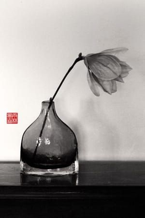 Artwork Title: Breath Of Spring