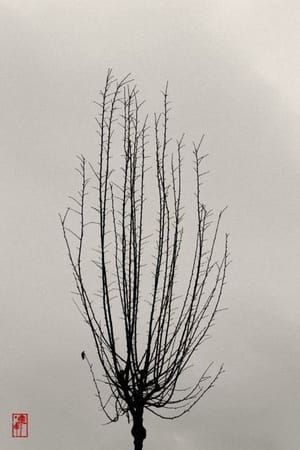 Artwork Title: February