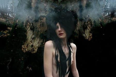 Artwork Title: Untitled