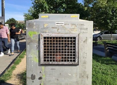 Artwork Title: Actual Victim #13, Dupont Circle
