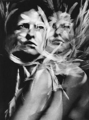 Artwork Title: Untitled