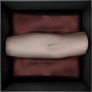 Artwork Title: Hieroglyph of my body