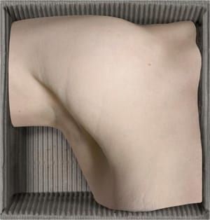 Artwork Title: Hieroglyph of my body