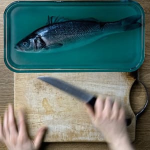 Artwork Title: Hirst