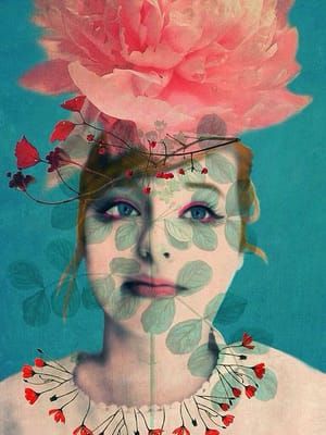 Artwork Title: Metamorphosis