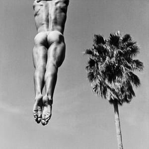 Artwork Title: Jump Palm