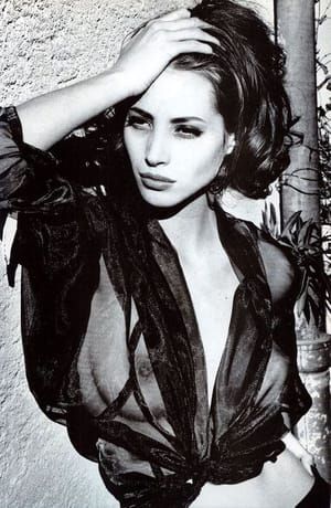 Artwork Title: Christy Turlington