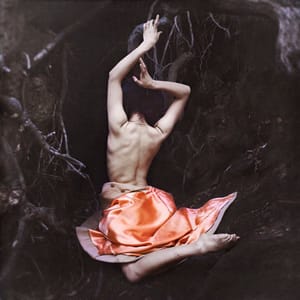 Artwork Title: Untitled
