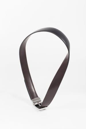 Artwork Title: Untitled (Belt)