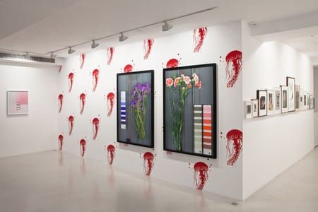 Artwork Title: Installation View, Pantones