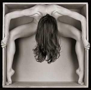 Artwork Title: Untitled