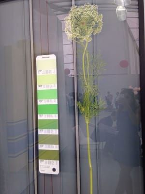 Artwork Title: Pantone 104M