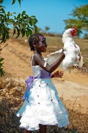 Artwork Title: Walk With Chicken