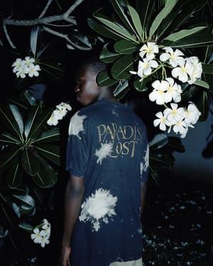 Artwork Title: Paradise Lost