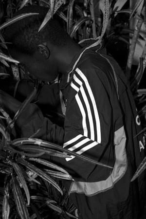Artwork Title: Jejé