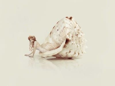 Artwork Title: Coquille