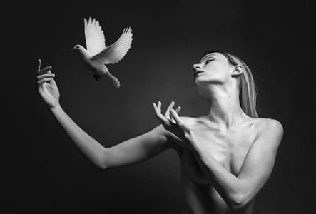 Artwork Title: Nous