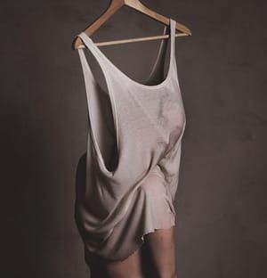 Artwork Title: Lookbook II