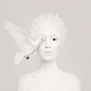 Artwork Title: Animeyed - Dove