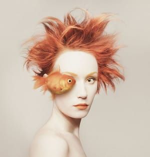 Artwork Title: Animeyed - Fisheye