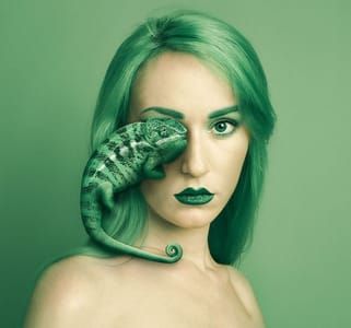 Artwork Title: Animeyed - Chameleon
