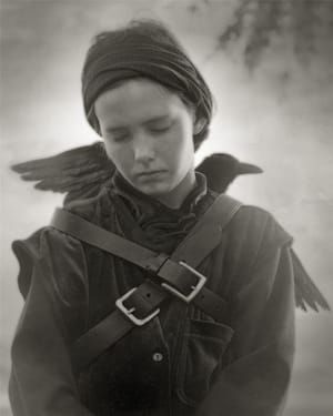 Artwork Title: Flight Of The Raven