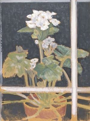Artwork Title: Primula